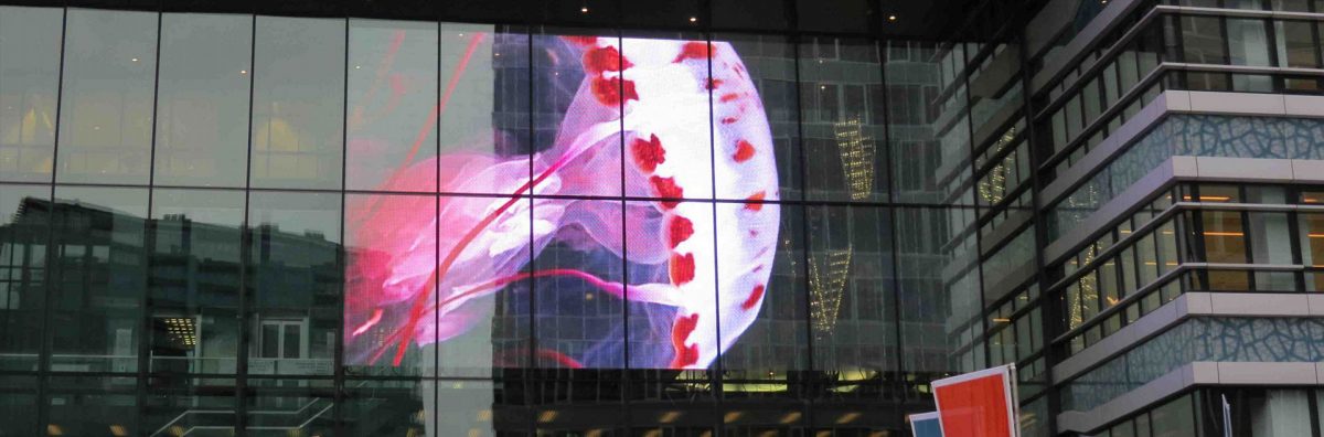 transparent led displays